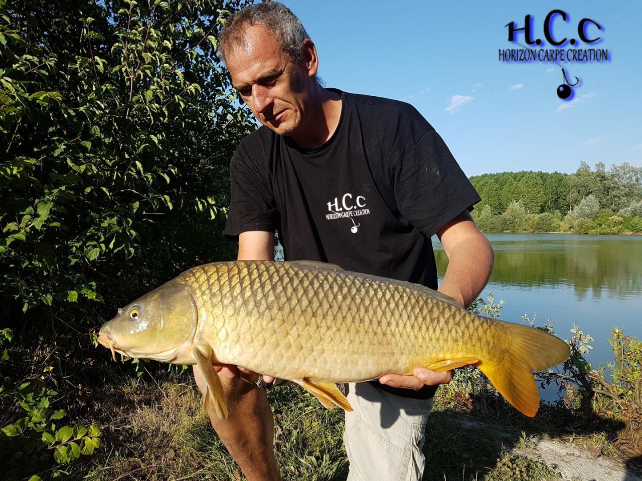 SEBASTIEN LEJEUNE - CONSULTANT HCC