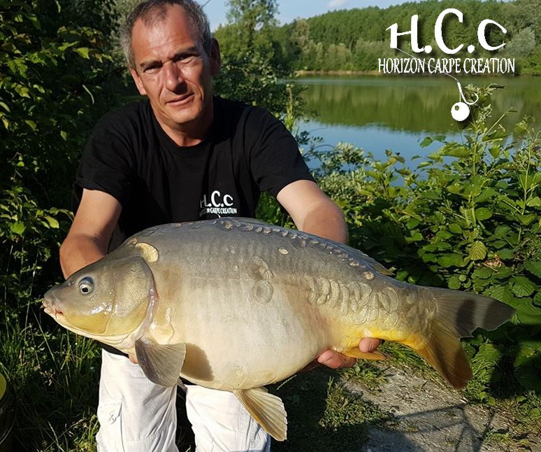SEBASTIEN LEJEUNE - CONSULTANT HCC