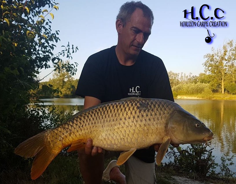 SEBASTIEN LEJEUNE - CONSULTANT HCC