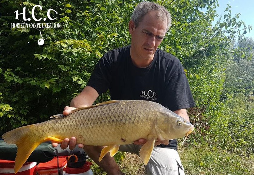 SEBASTIEN LEJEUNE - CONSULTANT HCC