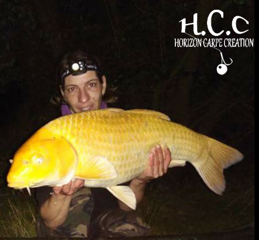 SEVERINE DUBOIS - CLIENTE HCC