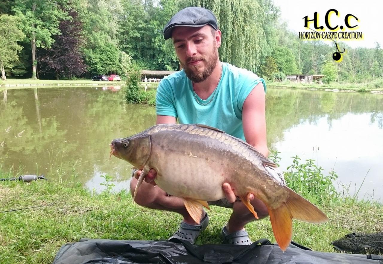 STEPHANE  PAPON - CONSULTANT HCC