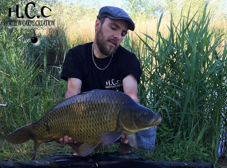 STEPHANE PAPON - CONSULTANT HCC