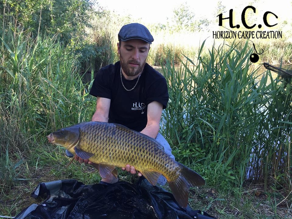 STEPHANE PAPON - CONSULTANT HCC