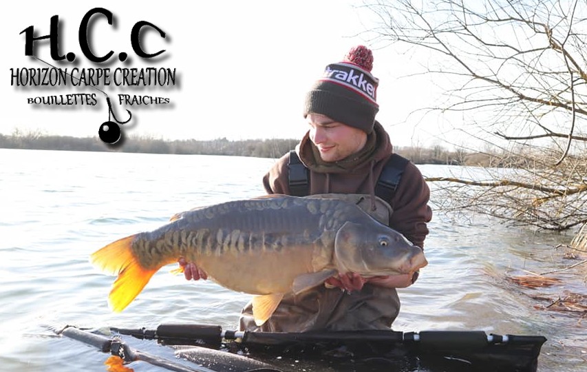 THIBAUT WOJCIECHOWSKI - CONSULTANT HCC