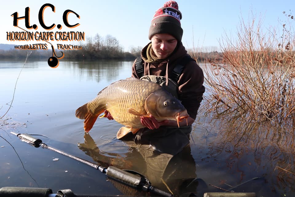 THIBAUT WOJCIECHOWSKI - CONSULTANT HCC