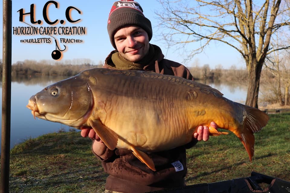 THIBAUT WOJCIECHOWSKI - CONSULTANT HCC