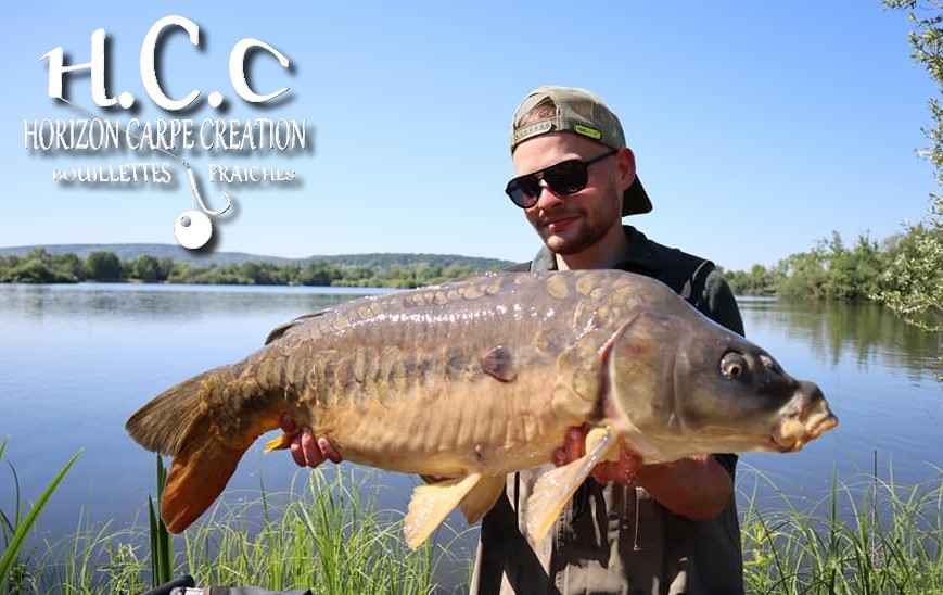 THIBAUT WOJCIECHOWSKI - CONSULTANT HCC