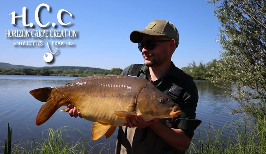 THIBAUT WOJCIECHOWSKI - CONSULTANT HCC