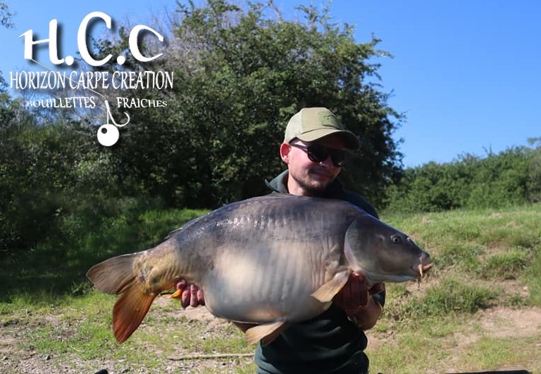 THIBAUT WOJCIECHOWSKI - CONSULTANT HCC