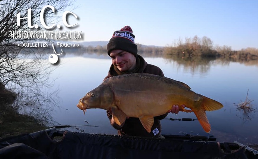 THIBAUT WOJCIECHOWSKI - CONSULTANT HCC