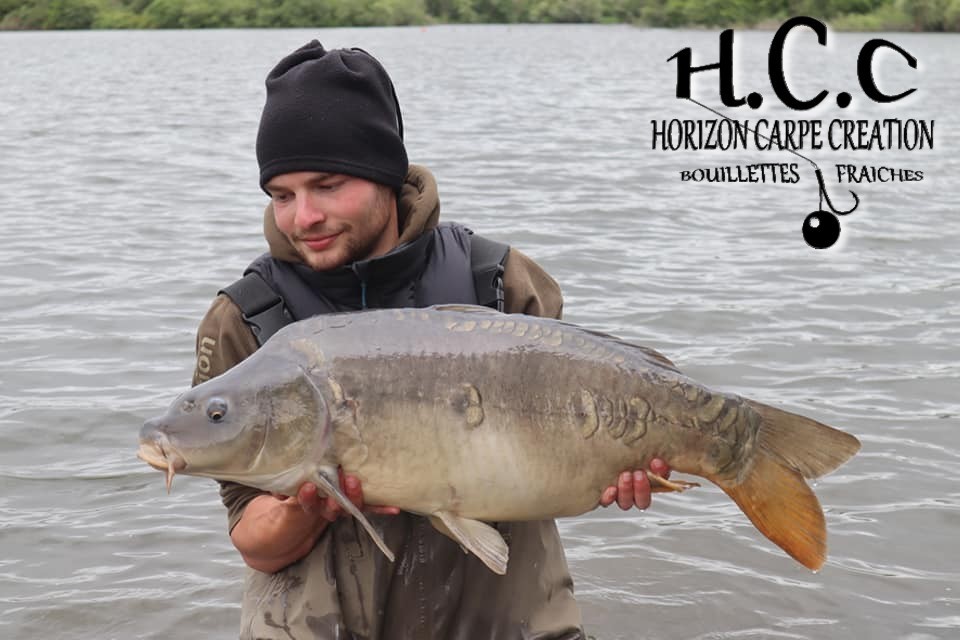 THIBAUT WOJCIECHOWSKI - CONSULTANT HCC