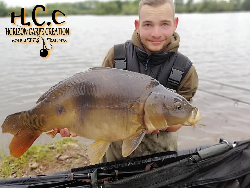 THIBAUT WOJCIECHOWSKI - CONSULTANT HCC