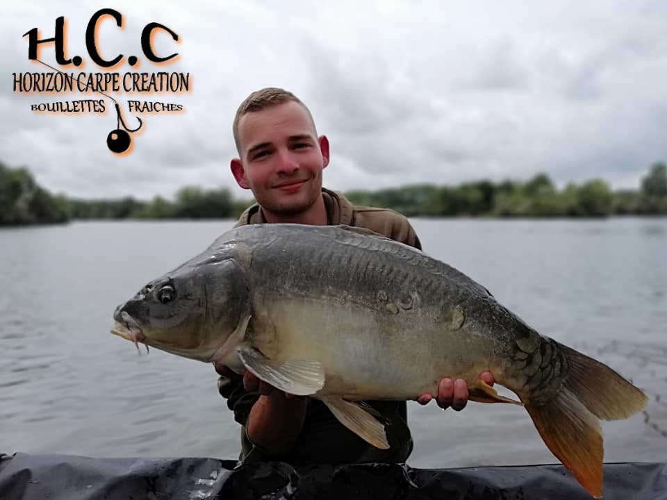 THIBAUT WOJCIECHOSKI - CONSULTANT HCC