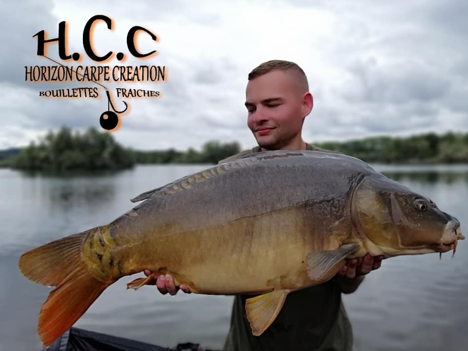 THIBAUT WOJCIECHOSKI - CONSULTANT HCC