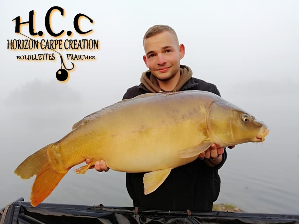 THIBAUT WOJCIECHOSKI - CONSULTANT HCC