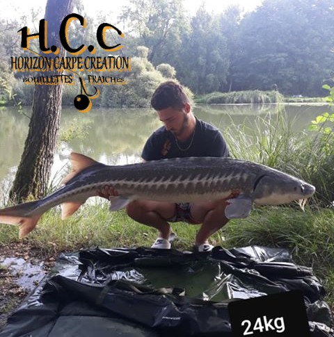 THIBAUT BOYE - CLIENT HCC