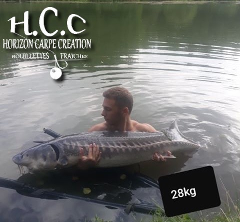 THIBAUT BOYE - CLIENT HCC