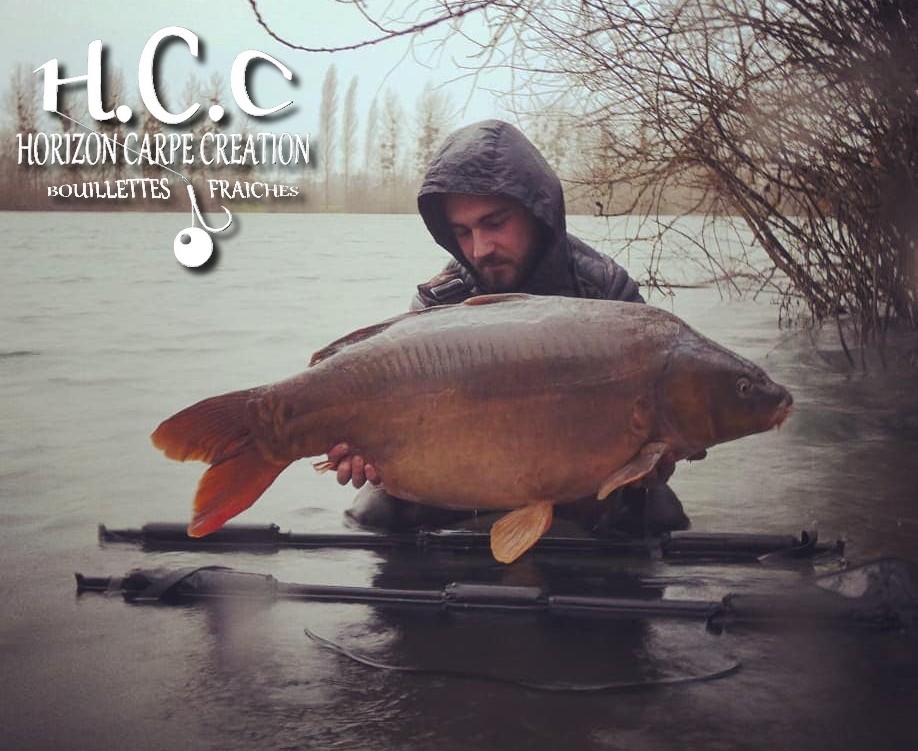 THIBAUT BOYER - CLIENT HCC