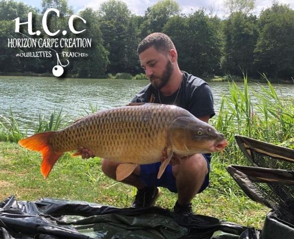 THIBAUT BOYER - CLIENT HCC