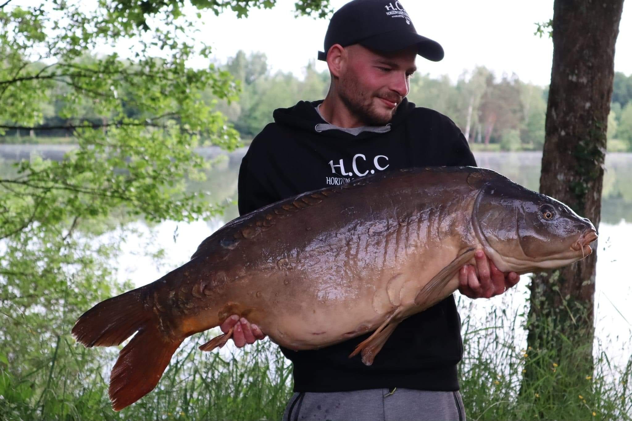 THIBAUT WOJCIECHOWSKI - CONSULTANT HCC