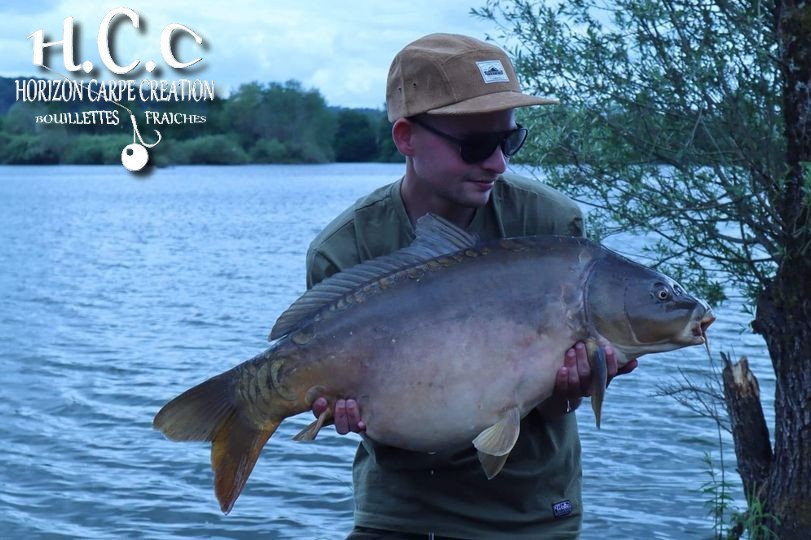 THIBAUT WOJCIECHOWSKI - CONSULTANT HCC