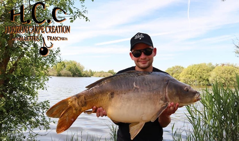 THIBAUT WOJCIECHOWSKI - CONSULTANT HCC