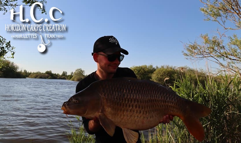 THIBAUT WOJCIECHOWSKI - CONSULTANT HCC