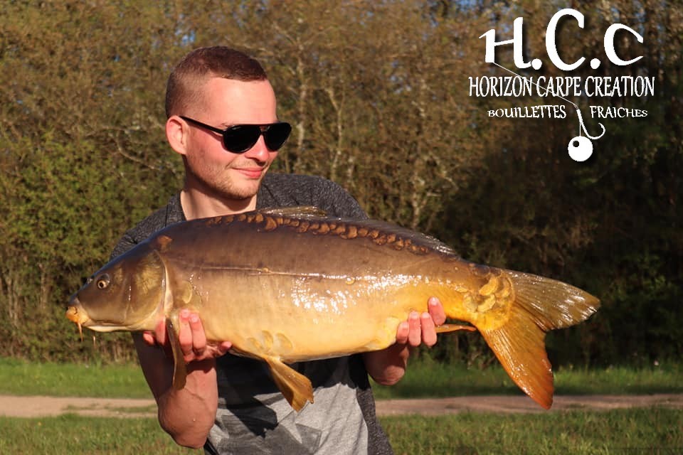 THIBAUT WOJCIECHOWSKI - CONSULTANT HCC