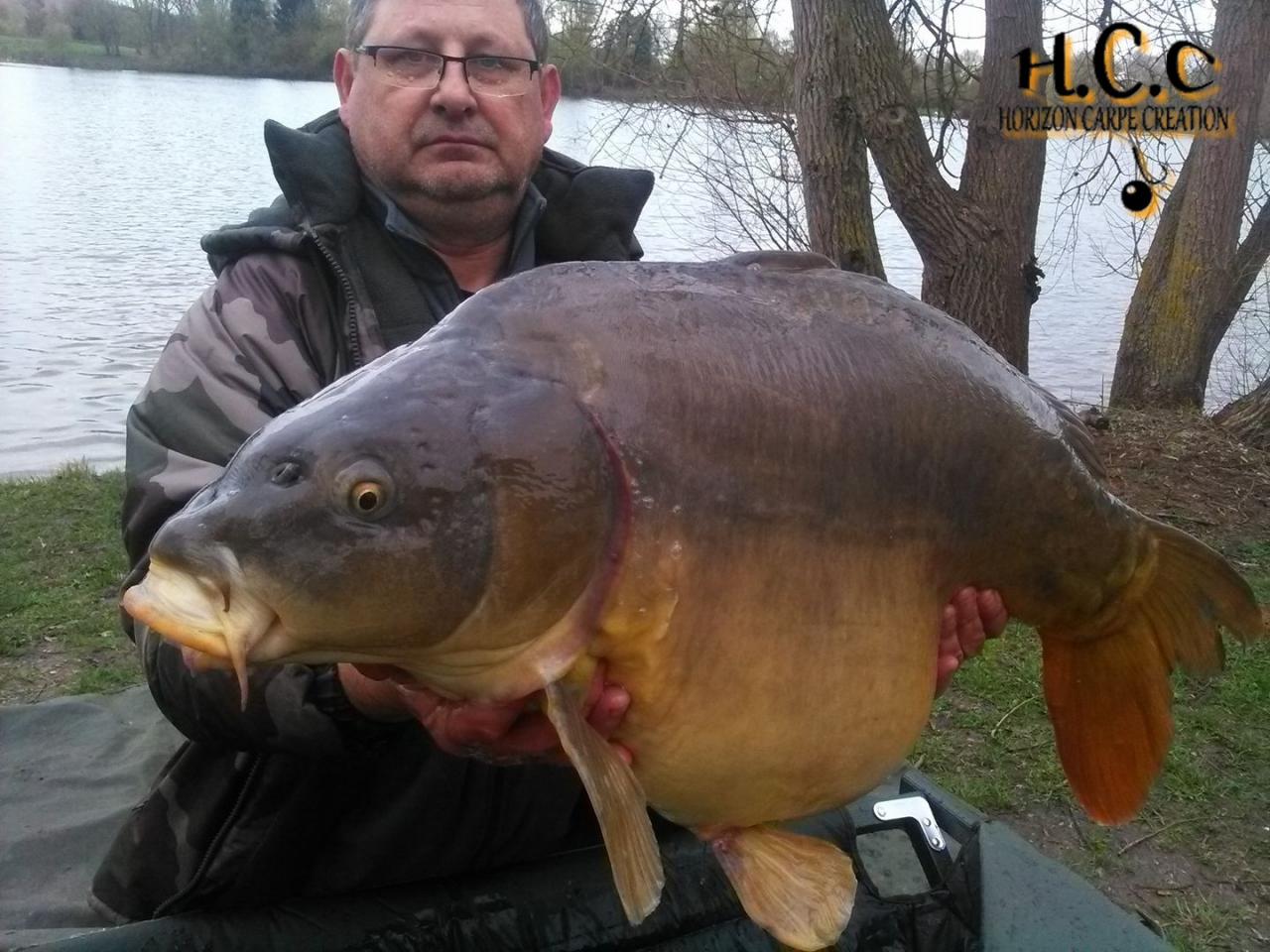 THIERRY MOINAT - CONSULTANT HCC