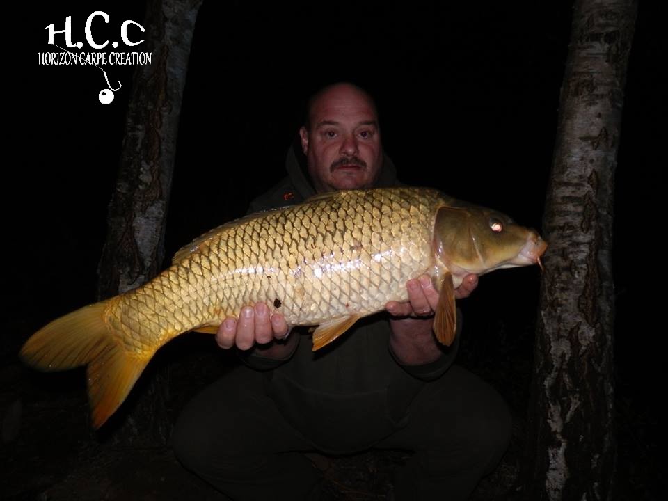 THIERRY ZAMBELLI - TESTEUR HCC