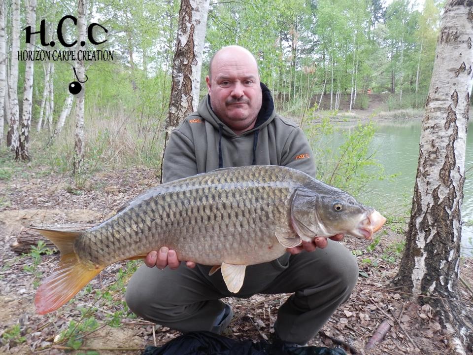 THIERRY ZAMBELLI - TESTEUR HCC