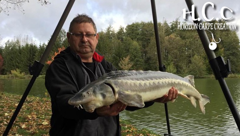 THIERRY MOINAT - CONSULTANT HCC