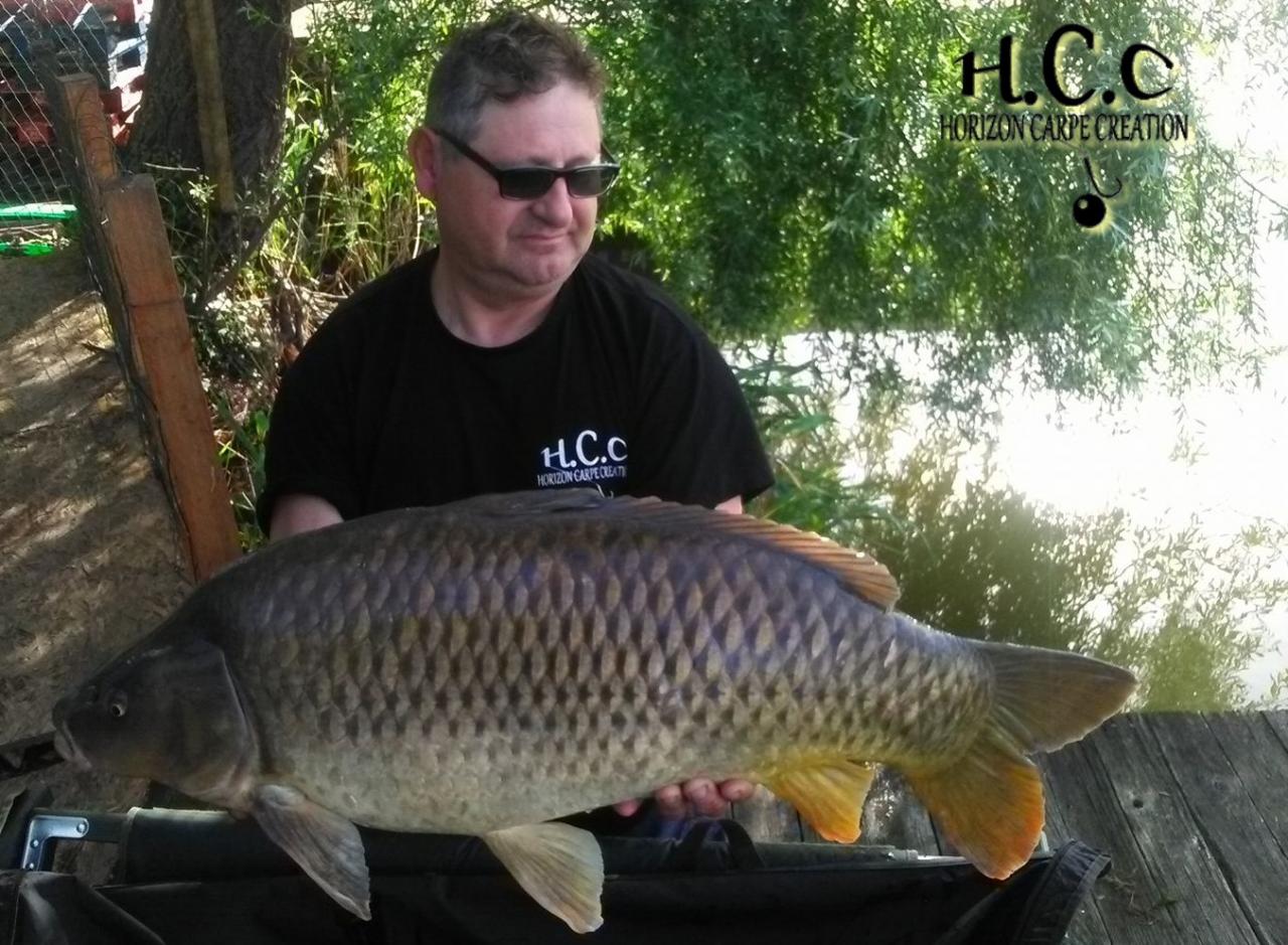 THIERRY MOINAT - CONSULTANT HCC