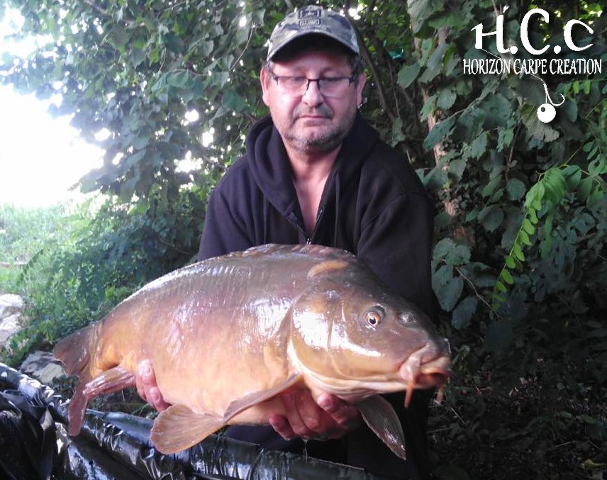 THIERRY MOINAT - CONSULTANT HCC