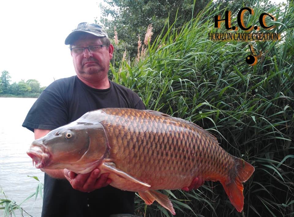THIERRY MOINAT - CONSULTANT HCC