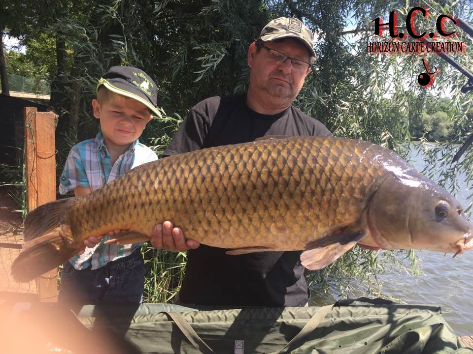 THIERRY MOINAT - CONSULTANT HCC