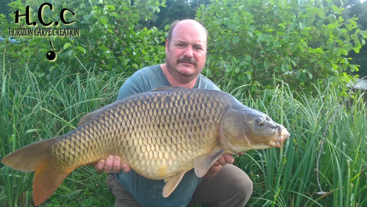 THIERRY ZAMBELLI - TESTEUR HCC