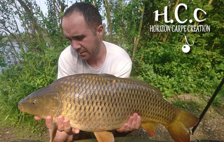 WILLIAM DESSE - CONSULTANT HCC