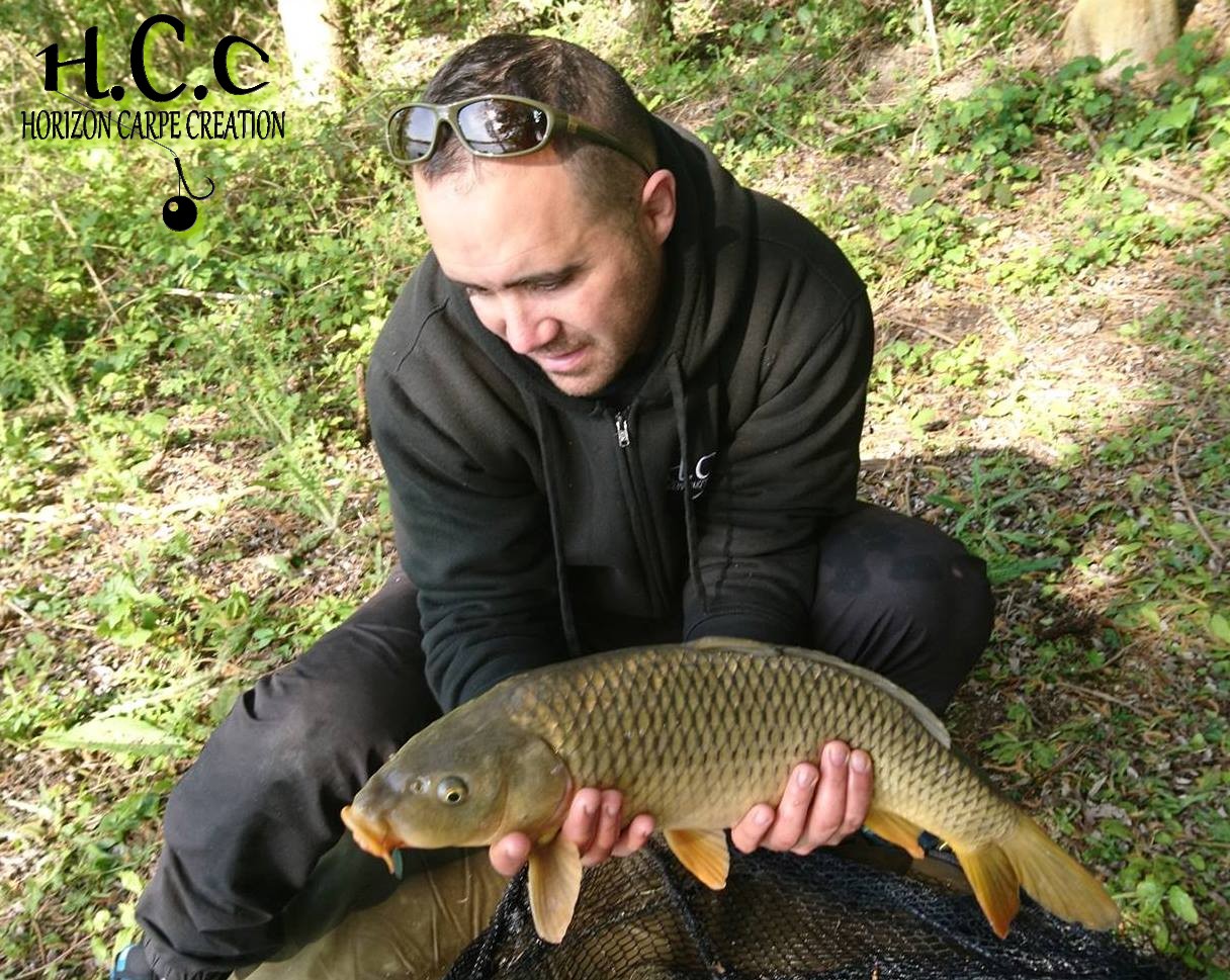 WILLIAM DESSE - CONSULTANT HCC