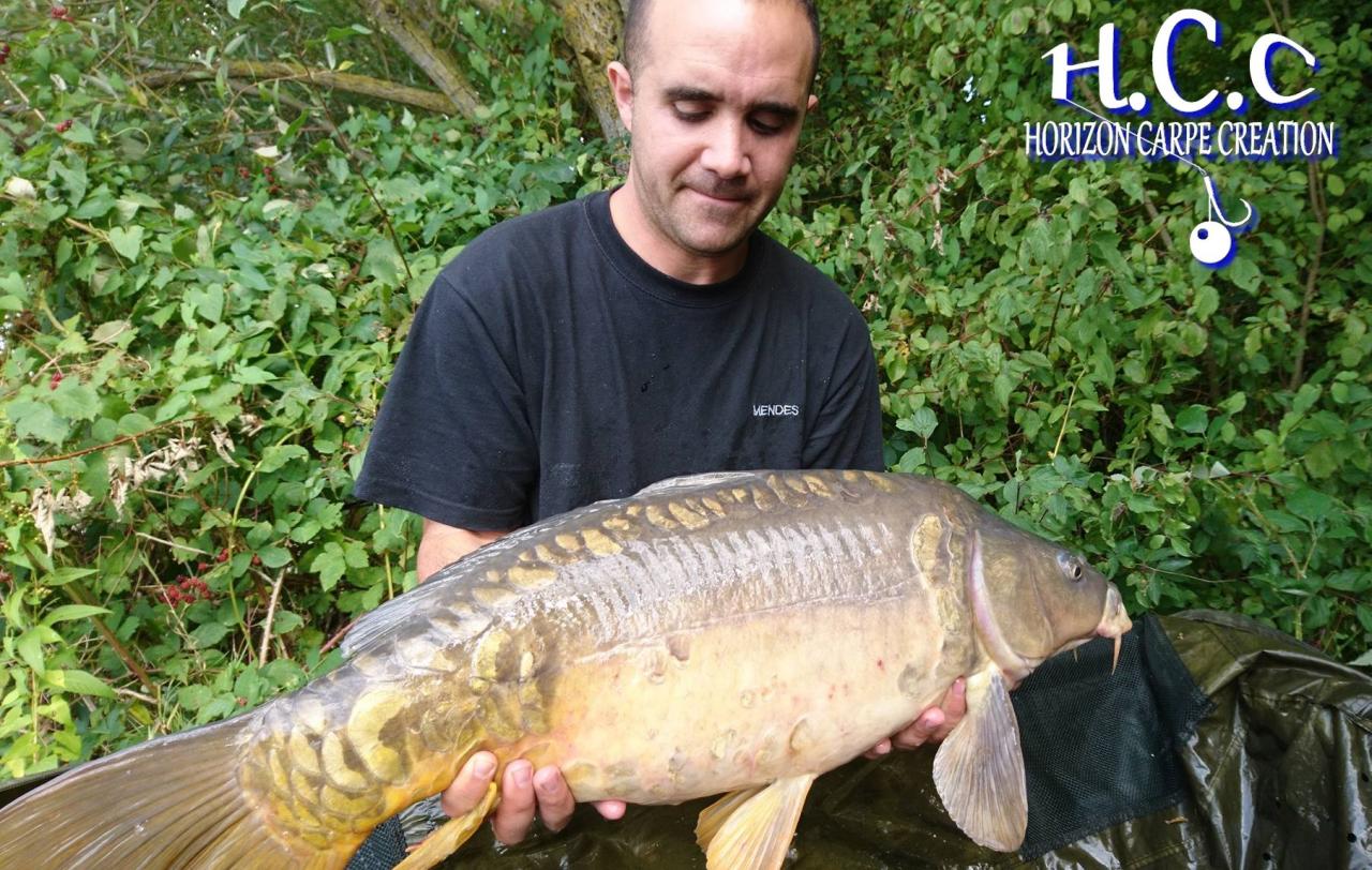 WILLIAM DESSE - CONSULTANT HCC