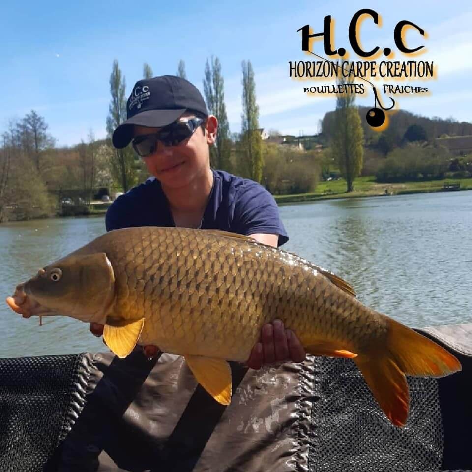 YANN CALLY - CLIENT HCC