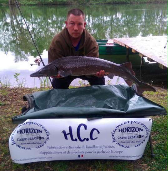 YOANN PELLETIER - CLIENT HCC