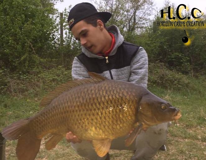 YOHANN WAROQUEAUX - JEUNE HCC