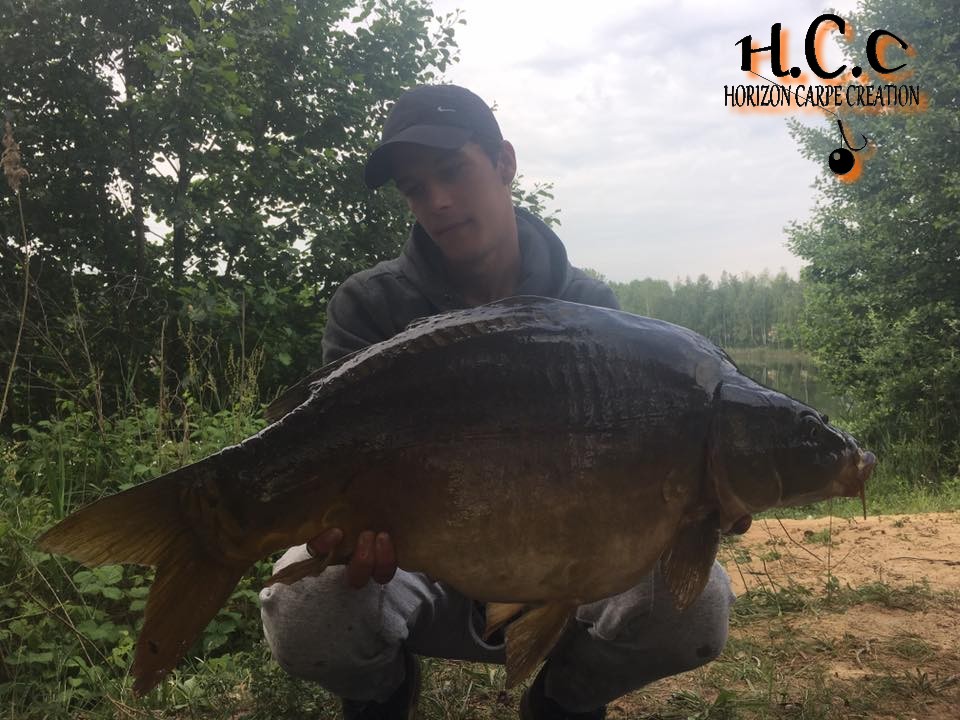 YOHANN WAROQUEAU - JEUNE HCC