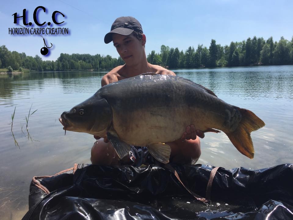 YOHANN WAROQUEAU - JEUNE HCC