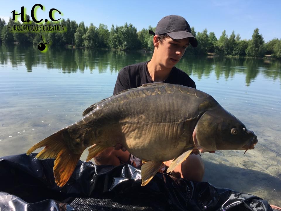 YOHANN WAROQUEAU - JEUNE HCC