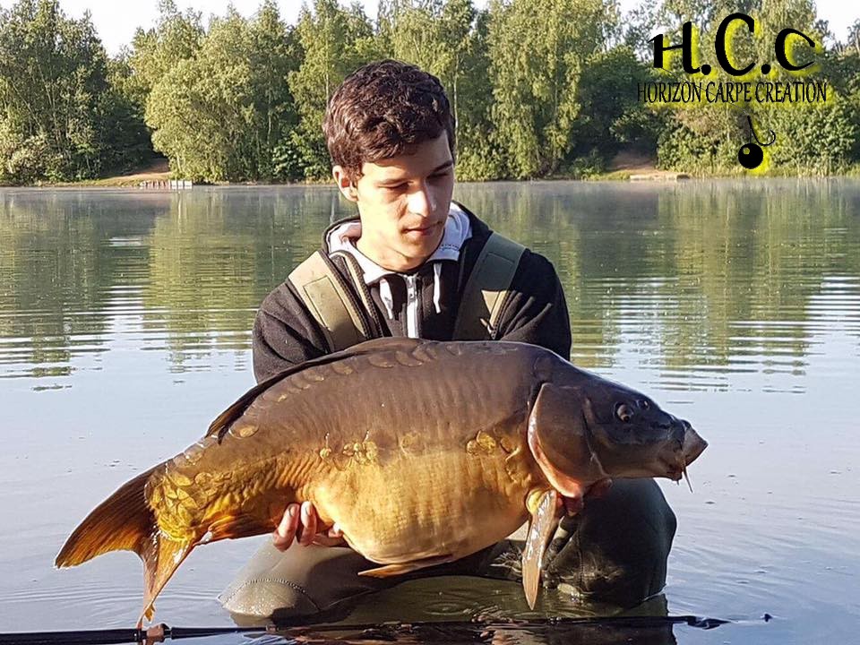 YOHANN WAROQUEAU - JEUNE HCC