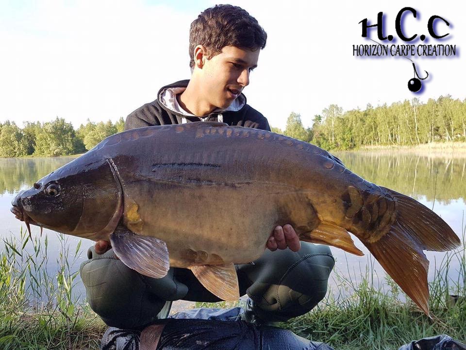 YOHANN WAROQUEAU - JEUNE HCC