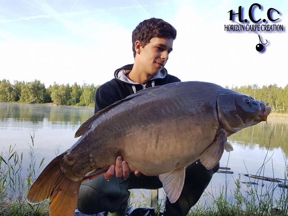 YOHANN WAROQUEAU - JEUNE HCC